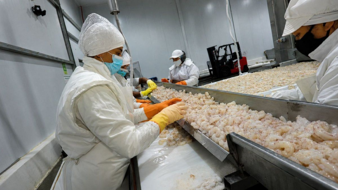 nueva-operacion-en-la-pesca-fortalece-la-produccion,-la-logistica-y-el-empleo-en-chubut