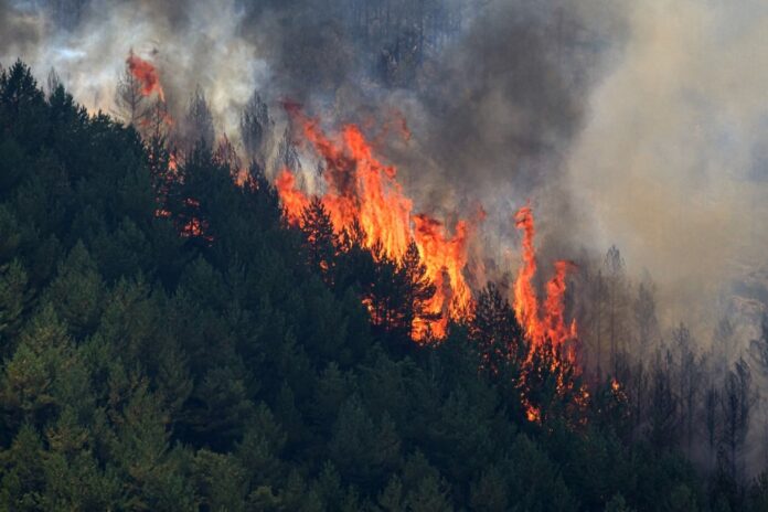 al-menos-11-fallecidos-en-voraz-incendio-en-el-sur-de-espana