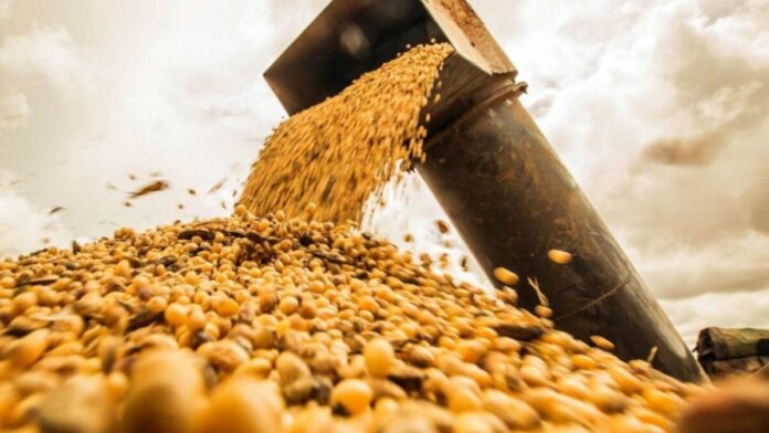 finalizo-la-cosecha-de-soja:-la-produccion-supero-el-promedio-de-los-ultimos-cinco-anos-y-proyectan-exportaciones-por-u$s17.500-millones