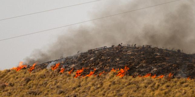 espana:-el-violento-incendio-que-arrasa-andalucia-a-evolue-«favorable»-durante-la-noche,-anunciando-las-autoridades;-6.600-hectareas-brules
