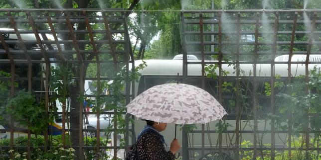 canicule-:-la-coree-du-sud-declenche-sa-estreno-alerte-maximale-pour-chaleur-extreme
