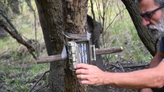 lanzan-una-convocatoria-para-rastrear-con-camaras-trampa-la-fauna-silvestre-en-todo-el-pais