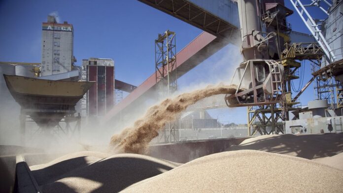 el-precio-de-la-soja-toca-maximos-desde-mayo-y-roza-los-u$s440