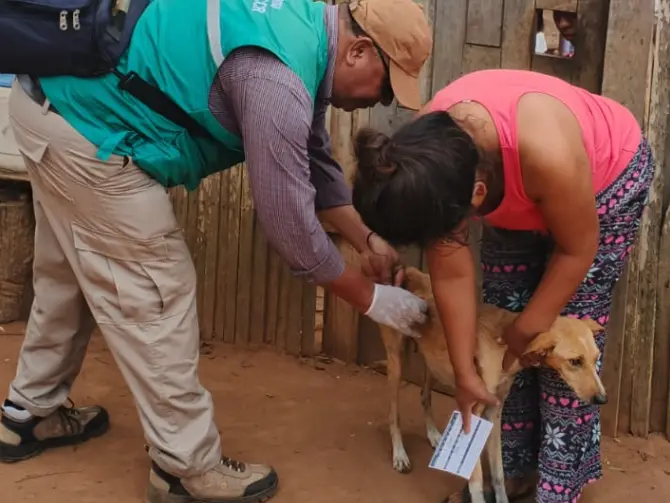 concepcion:-sedes-trabaja-para-frenar-el-brote-de-rabia-canina