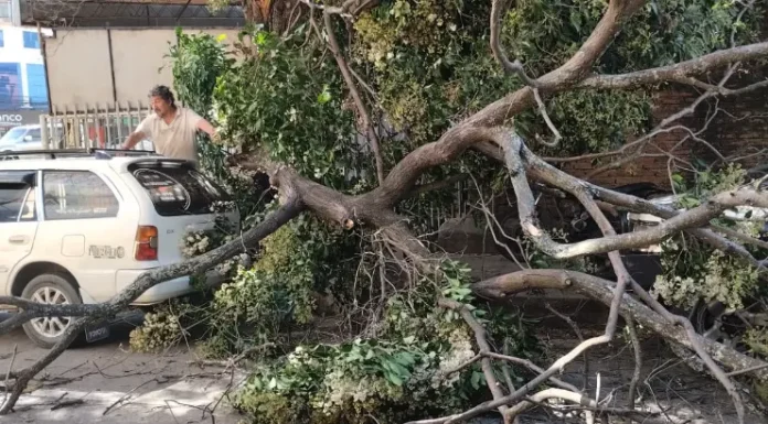 direccion-de-riesgo-atiende-emergencias-por-vientos-en-santa-cruz