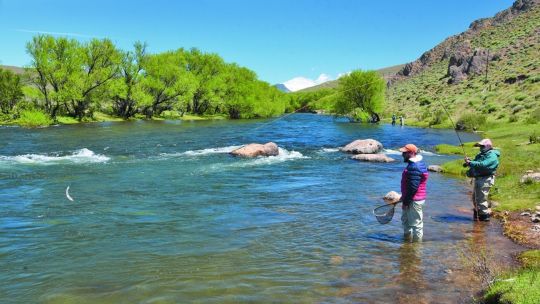 extender-la-temporada-y-permitir-otra-vez-el-fieltro:-los-cambios-que-analizan-para-la-pesca-en-el-sur