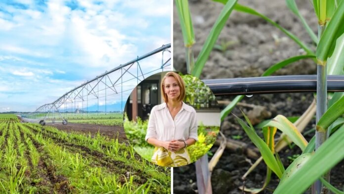 ¿como-se-preparara-el-sector-de-la-cana-para-el-fenomeno-de-el-nino,-como-se-protegera-el-agua-y-como-se-optimizara-la-produccion-de-azucar-en-la-region?