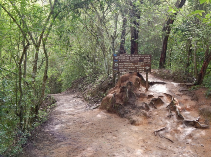 sabas-nieves-es-la-unica-ruta-habilitada-en-el-avila-tras-los-terremotos