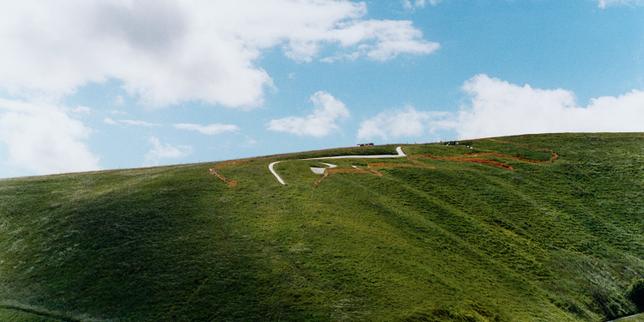 l’angleterre-aux-petits-soins-pour-le-cheval-blanc-d’uffington:-«s’il-n’avait-pas-ete-restaure-regulierement,-il-aurait-disparu-en-quelques-annees-sous-la-vegetation»