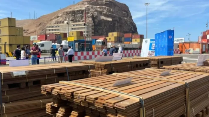 empresarios-crucenos-piden-al-gobierno-iniciar-medidas-legales-y-administrativas-por-el-dano-al-sector-forestal