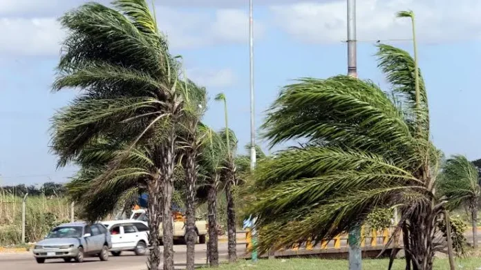 alcaldia-de-santa-cruz-emite-alerta-roja-por-vientos-fuertes