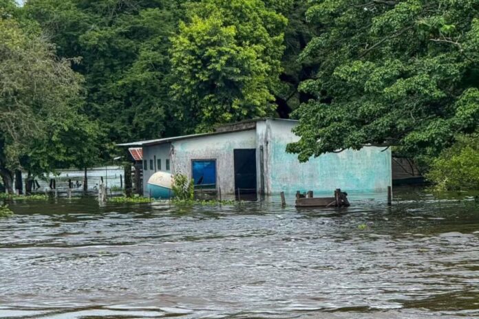 mantengan-la-alerta-en-los-estados-apure-y-amazonas-por-lluvias-e-inundaciones