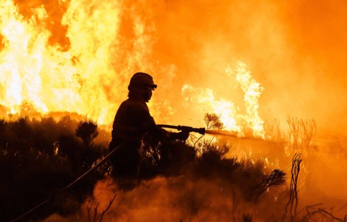un-incendio-quemo-13.000-hectareas-a-100-km-al-norte-de-madrid