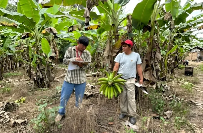 declaran-prioridad-nacional-el-censo-agropecuario-2026