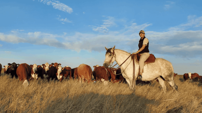 derogan-ocho-normas-fitosanitarias-para-simplificar-el-marco-regulatorio-del-sector-agropecuario