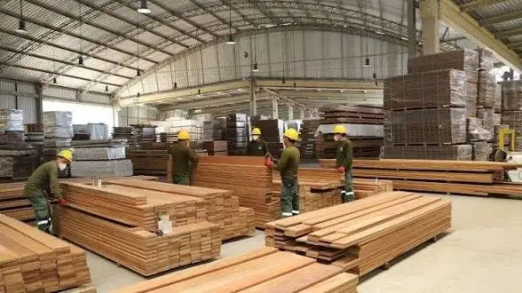 sector-maderero-pide-procesos-internacionales-contra-autoridades-chilenas