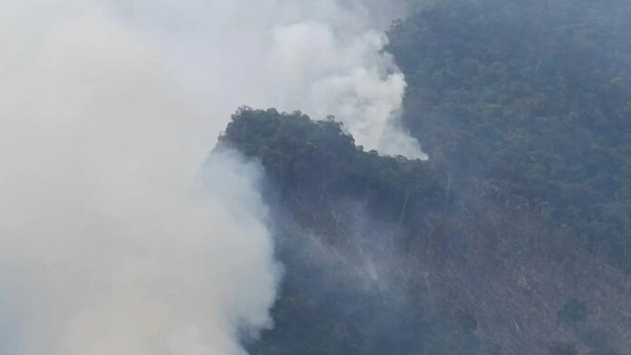 importante-reserva-natural-de-santander-arde-en-llamas:-un-grave-incendio-forestal-en-los-cerros-de-el-penon-ya-completa-72-horas-activo