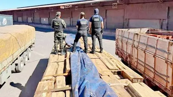fiscalia-avanza-en-investigacion-del-caso-«narcomadera»-en-cuatro-departamentos