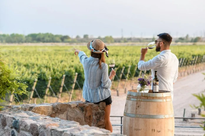 mendoza-wine-travel-nombrada-mejor-region-vitivinicola-del-mundo