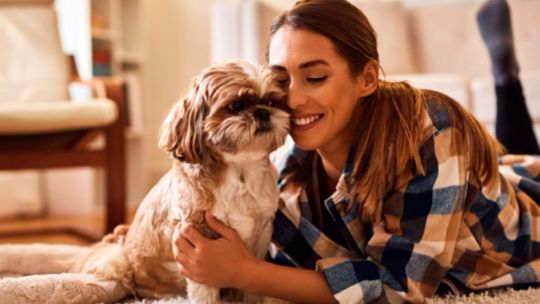 dia-mundial-del-perro:-los-mejores-5-regalos-para-sorprender-a-tu-fiel-amigo-en-su-festejo