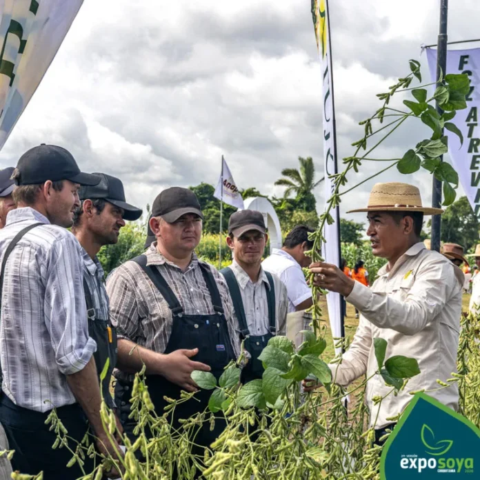 la-chiquitania-se-consolida-como-la-zona-soyera-mas-productiva,-clave-en-la-cosecha-record-de-verano