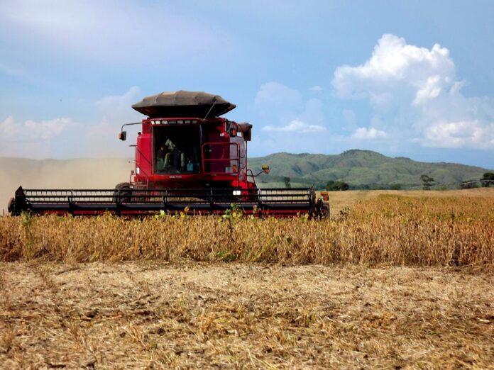 las-exportaciones-de-soja-de-paraguay-aumentan-un-51%-debido-a-la-demanda-argentina