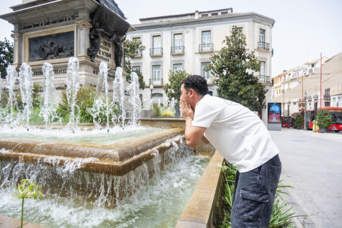 espana-preve-temperaturas-de-hasta-44-°c-en-el-area-mediterranea-y-el-sur-por-la-ola-de-calor