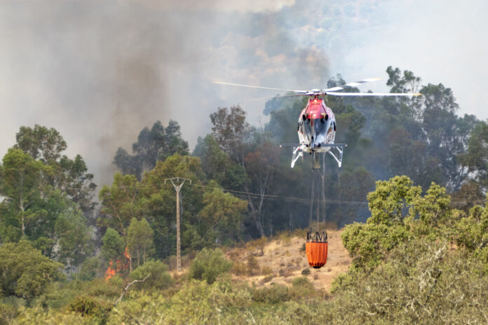 espana-es-el-pais-con-mayor-area-forestal-quemada-de-toda-la-union-europea