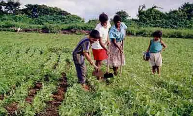 acuerdan-fortalecer-la-logistica-para-agricultores-campesinos