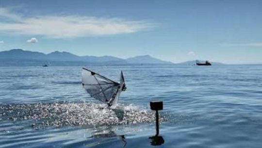 crearon-un-robot-de-300-gramos-que-imita-a-las-aves-y-puede-volar-y-bucear