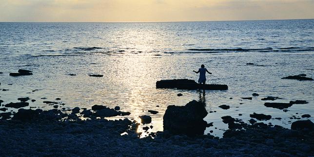 sur-l’ile-suedoise-de-faro,-a-la-recherche-de-l’ame-d’ingmar-bergman