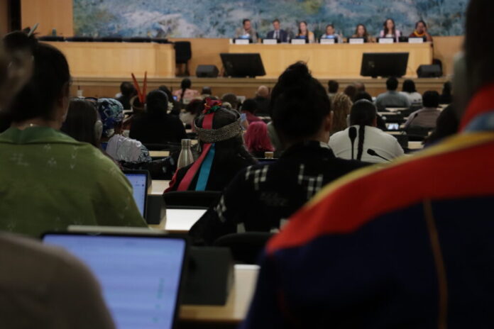 indigenous-leaders-give-the-un-a-roadmap-for-protecting-their-peoples