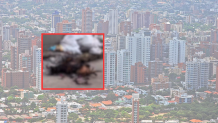 indignacion-en-barranquilla-por-el-caso-de-dos-perros-que-fueron-incendiados-en-el-silencio:-autoridades-buscan-al-responsable