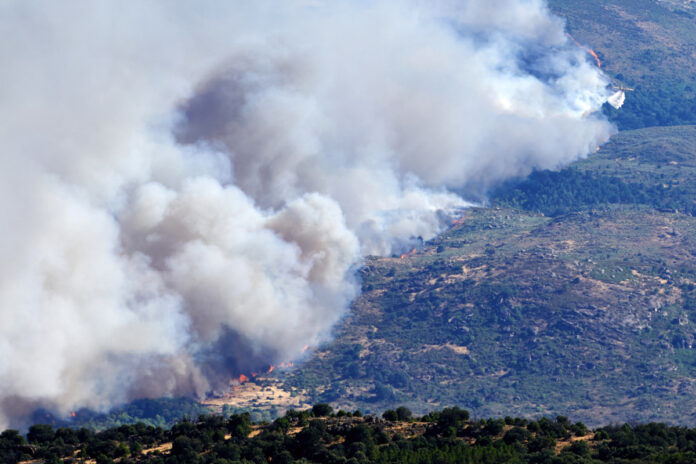incendios-forestales-obligaron-a-evacuar-a-mas-de-40.000-personas-en-espana