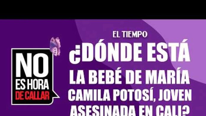 ¿donde-esta-el-bebe-de-maria-camila-potosi,-joven-asesinada-en-cali?