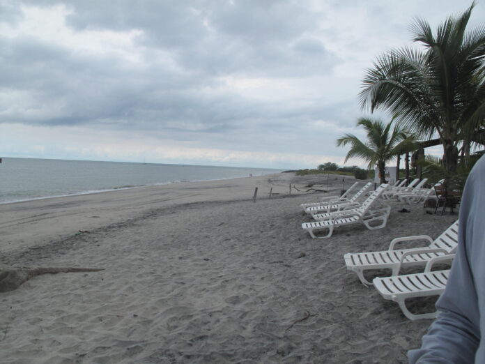 wingo-de-colombia-volara-la-ruta-bogota-playas-rio-hato-en-2026