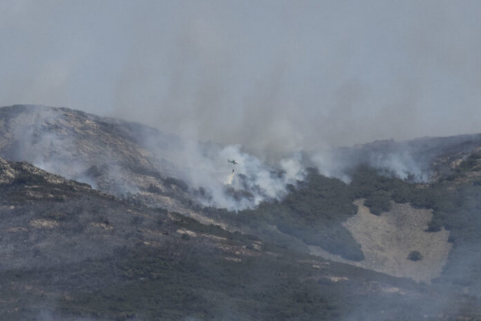 incendios-forestales-arrasan-126.000-hectareas-en-espana-en-lo-que-va-de-ano