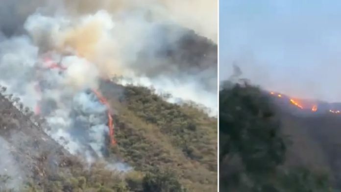 reportan-grave-incendio-forestal-en-la-zona-rural-de-tiatino,-en-palmira:-bomberos-ya-atienden-la-emergencia
