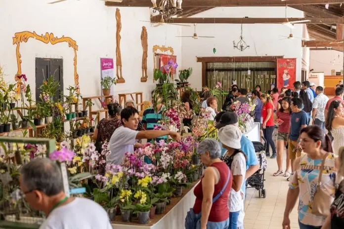 concepcion-inicia-coordinacion-para-el-xxvi-festival-de-la-orquidea