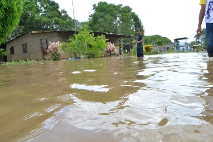 inundaciones-por-lluvias-dejaron-mas-de-50-viviendas-afectadas-en-maturin