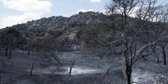en-espana,-la-solidaridad-y-la-concordia-politica-prevalecen-ante-los-«monstruos-incendios»