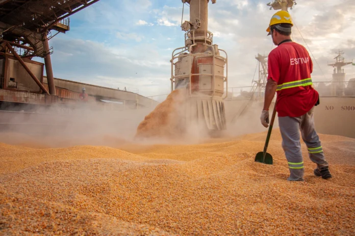 cereales-latinoamericanos:-la-soja-sube,-el-trigo-baja