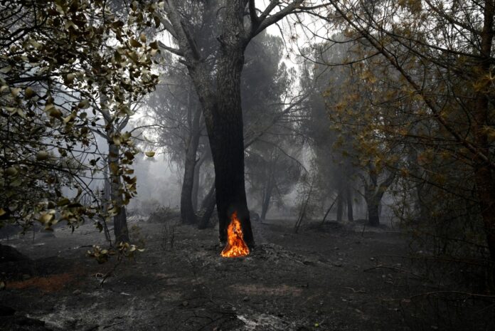 incendios-cerca-de-madrid-frenan-su-avance,-pero-siguen-sin-estabilizarse