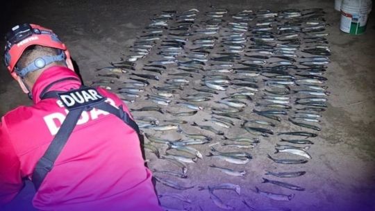 secuestran-255-pejerreyes-en-el-dique-la-vina:-3-pescadores-superaban-ampliamente-el-cupo-permitido