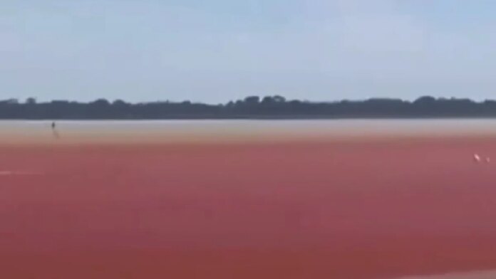 impresionante-|-cienaga-de-el-llanito,-en-barrancabermeja,-se-puso-de-tono-rojo:-expertos-aseguran-que-es-la-grave-contaminacion-y-fenomeno-de-el-nino