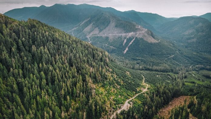 bc-parks-calls-it-a-luxuriously-forested-sanctuary.-just-dont-try-to-visit