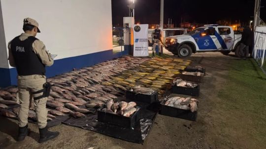 golpe-a-la-pesca-ilegal:-prefectura-incauto-1.300-kilos-de-pescado-durante-un-control-en-paranacito