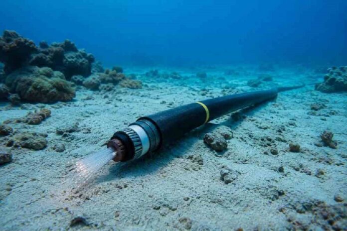 venezuela-restablece-100%-de-su-conectividad-internacional-tras-culminar-la-reparacion-del-cable-submarino-de-fibra-optica
