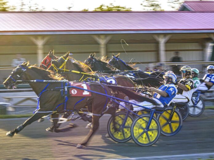 harness-racing:-alritealritealrite-repeats-at-cape-breton’s-northside-downs