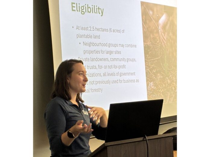 reforestation-begins-in-shelburne-countyfollowing-2023-wildfire